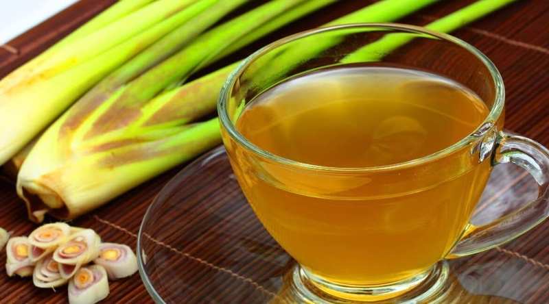 Lemongrass - medicinal uses & tea
